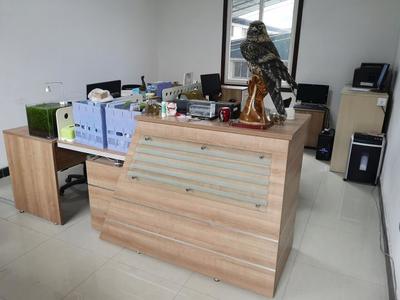 攜手共進(jìn)，再譜新篇——熱烈祝賀九度與漢武機(jī)電簽署網(wǎng)站服務(wù)協(xié)議，深化針紡織品及原料銷售合作