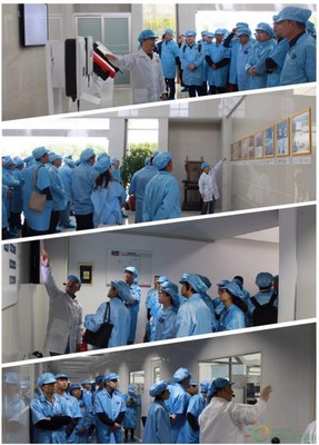 聚享綠色能源，共筑智能未來——SMA揚(yáng)中工廠開放日活動(dòng)圓滿落幕